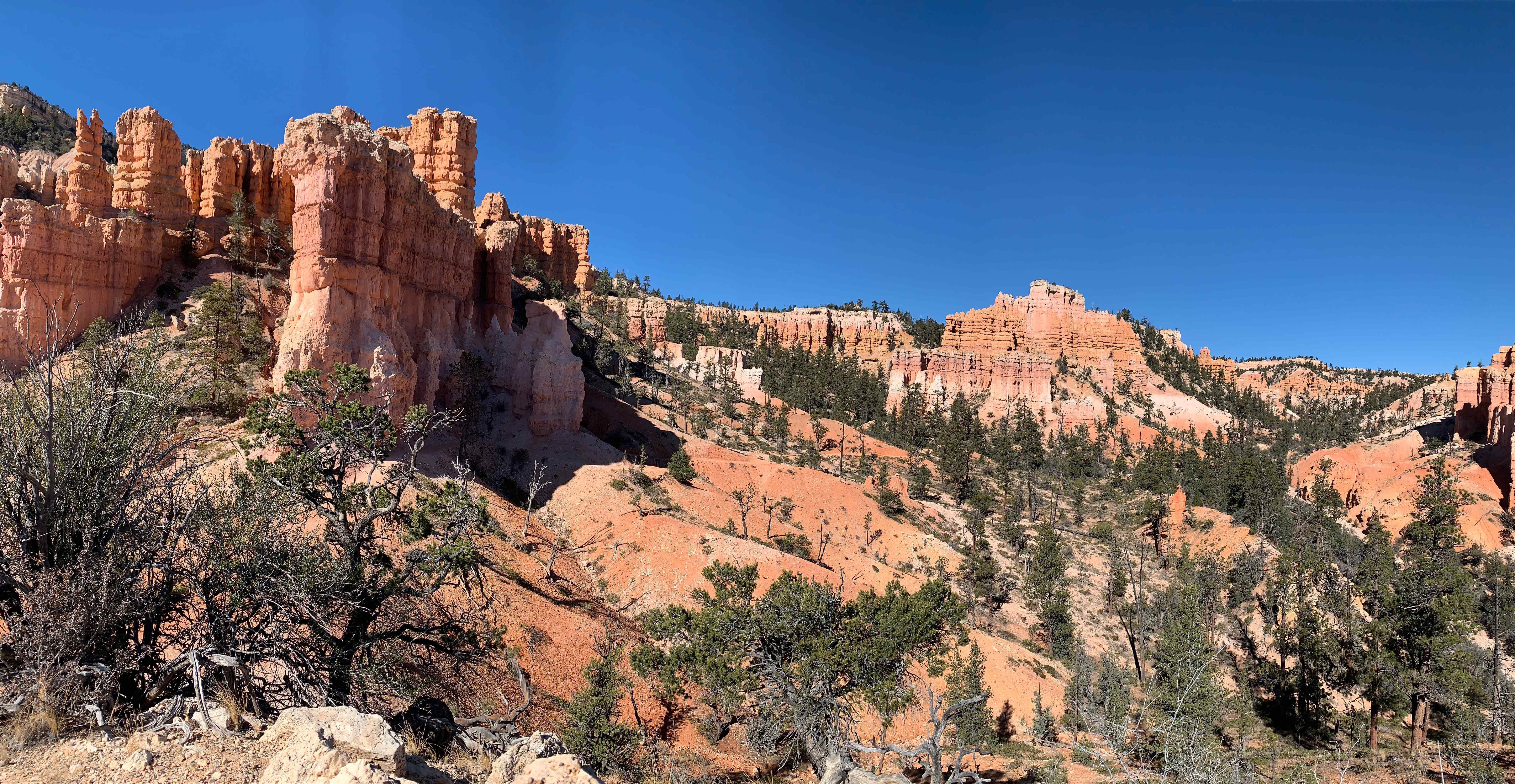 Bryce Canyon NP